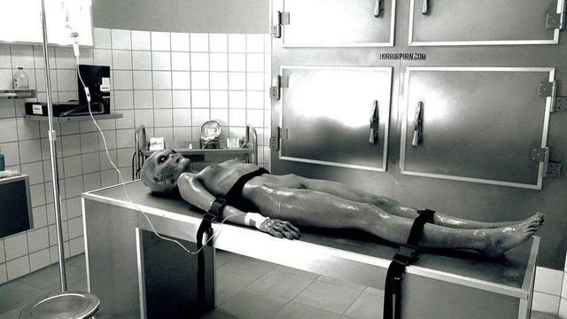 ashish visapurkar recommends Leslie foldvary courtney currington add horrorporn roswell ufo photo