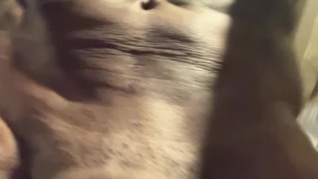 King Kong Pornhub blonde solo masterbation elpidia carrillo feet