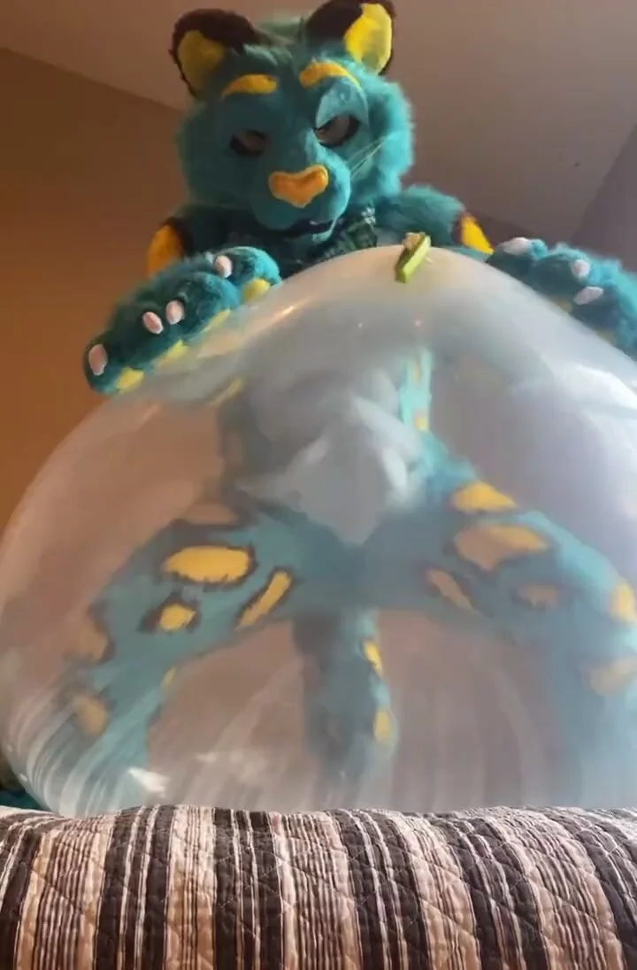 bobbie hendricks recommends Bang brothers free charmaine aclan add humping balloon porn photo